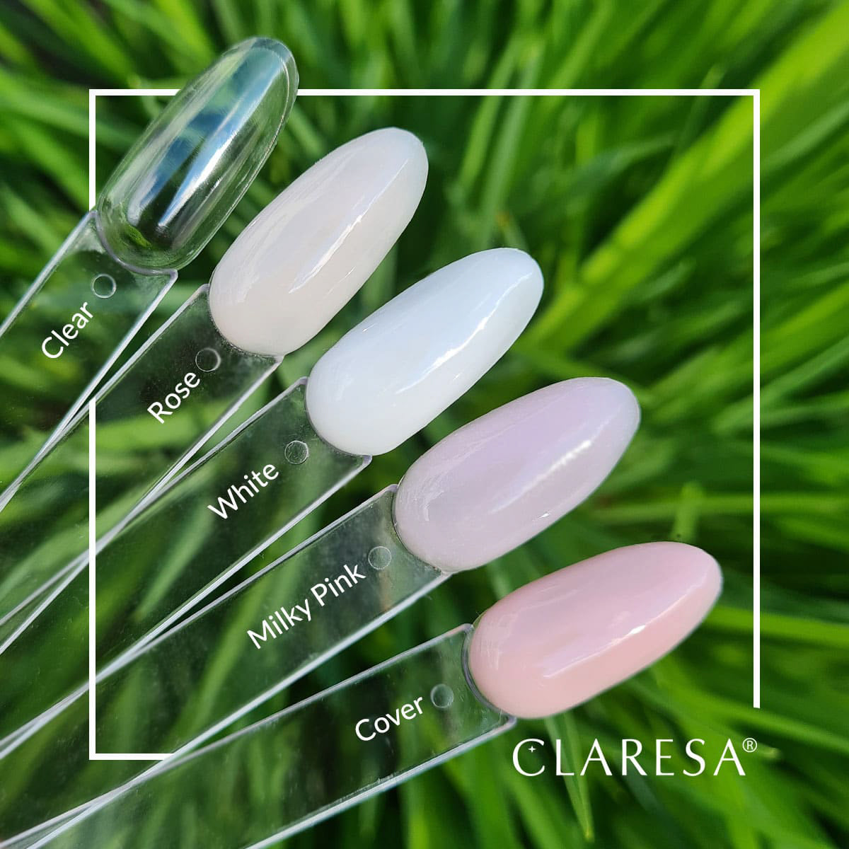 CLARESA BUILDER GEL CLEAR -50 g - BVShop