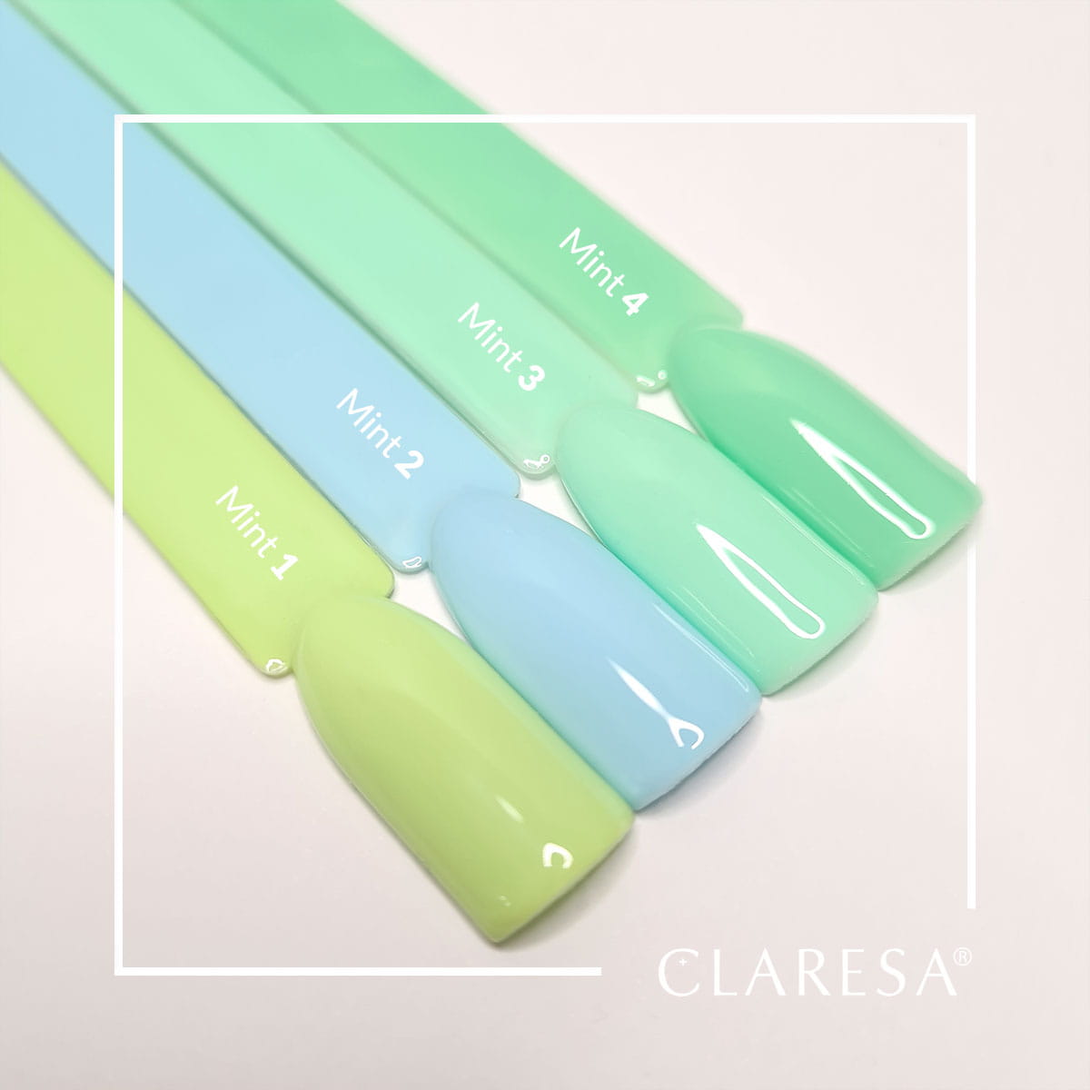 2-CLARESA-2