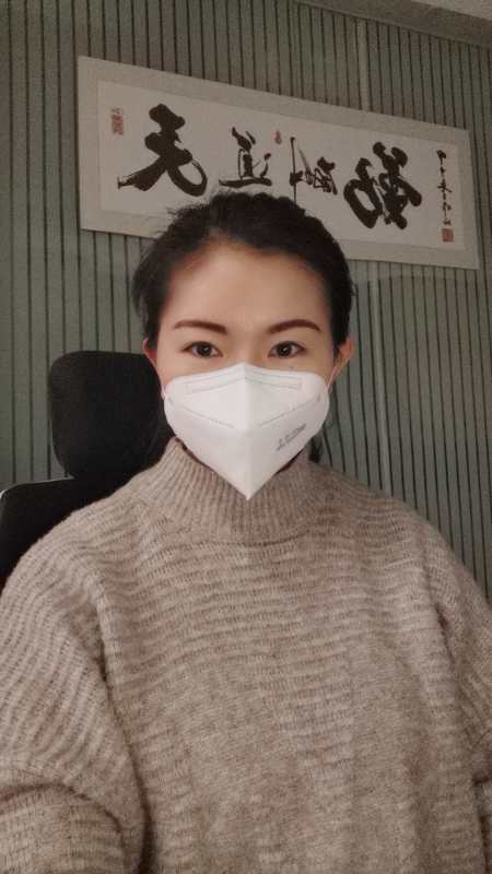 100x KN95 FFP2 Protective Mask CE Certified - BVShop