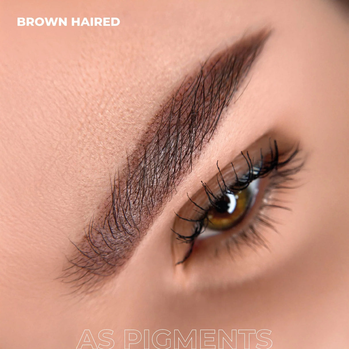 AS COMPANY Brown Haired (AS Pigments) 6/12ml - BVShop
