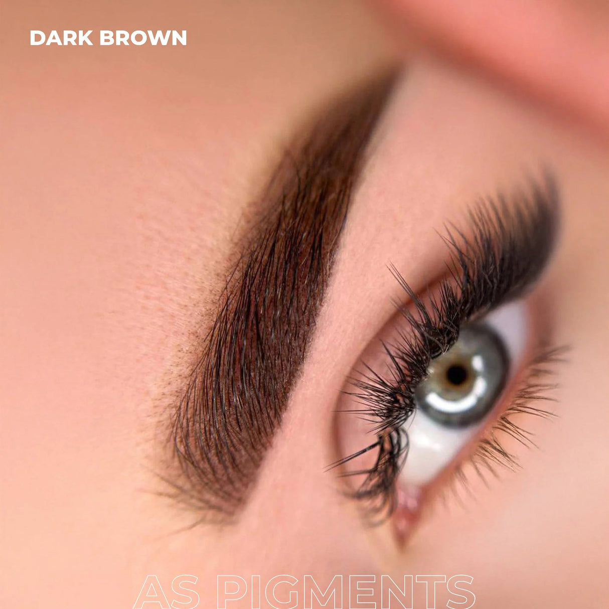 AS COMPANY Dark Brown (AS Pigments) 6/12ml - BVShop