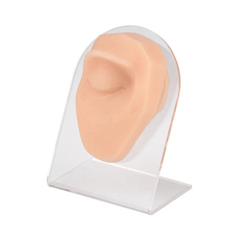 Eyebrow Piercing Silicone Model - BVShop