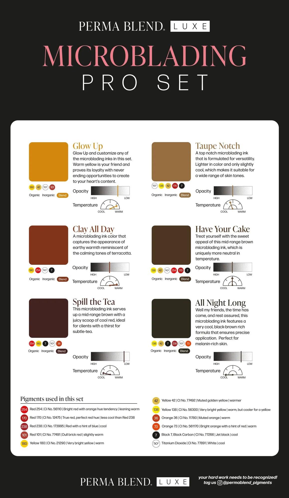 Perma Blend Microblading Pro Pigments All Night Long 10ml - BVShop