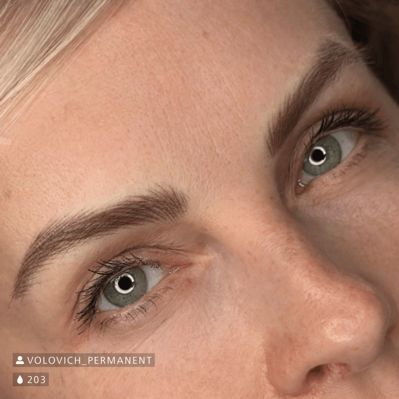 Swiss Color 203 Chocolate Brown Eyebrow Pigment - BVShop