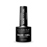 1-CLARESA-1