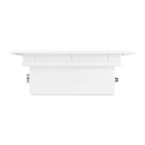 Momo J-404 built-in dust absorber - BVShop