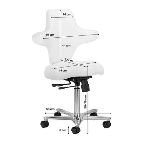 Azzurro Special 152 Silla De Trabajo – Blanca Nieve · Esquema de dimensiones