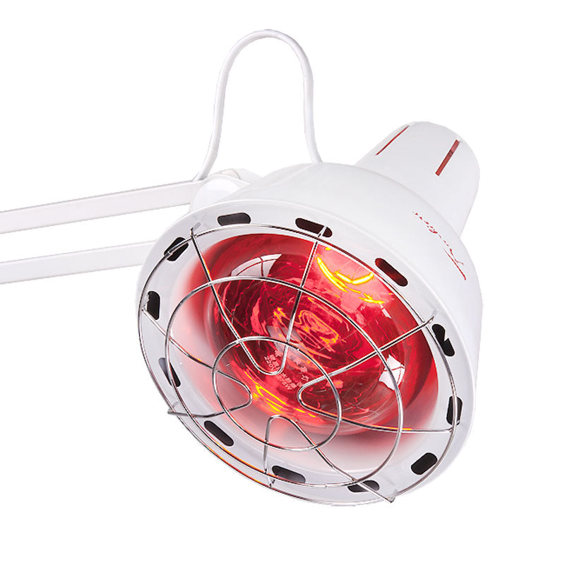 Beauty System Sollux Lamp BR-1082B stand showing a professional skincare lamp with adjustable stand and bright light source.