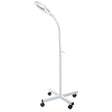 Magnifying lamp on stand BR-663G - BVShop