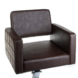 Ernesto bronze hairdressing chair BM-6302 - BVShop
