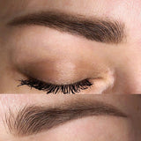 AS COMPANY Base (AS Pigments) 6/12ml - BVShop