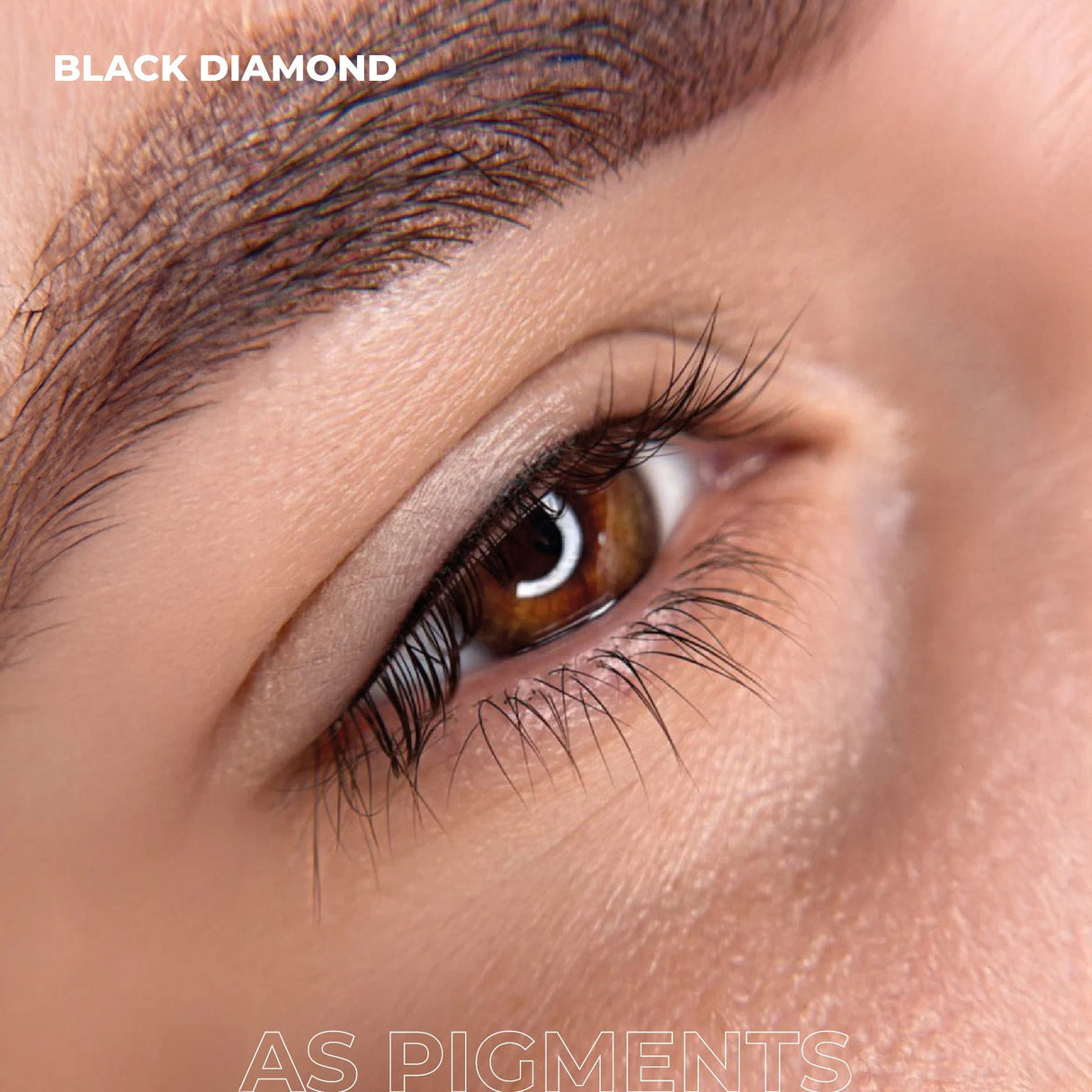 AS COMPANY Black Diamond (AS Pigmentos) 6/12ml