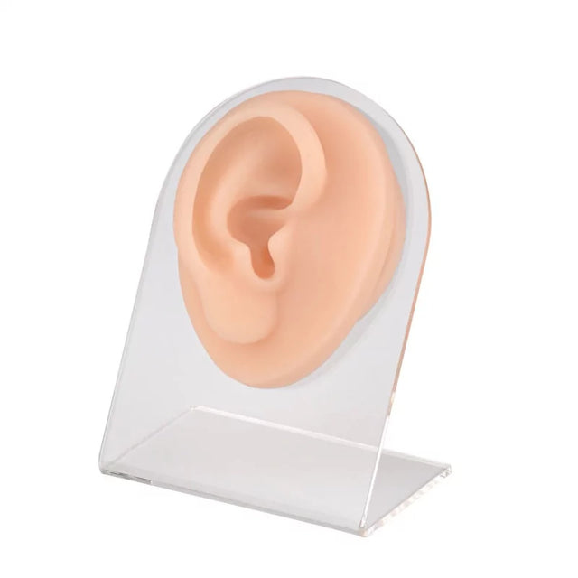 Ear Piercing Silicone Model - BVShop