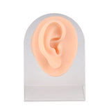 Ear Piercing Silicone Model - BVShop