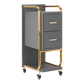 GABBIANO HAIRDRESSER TROLLEY SOLO GOLD GRAY - BVShop