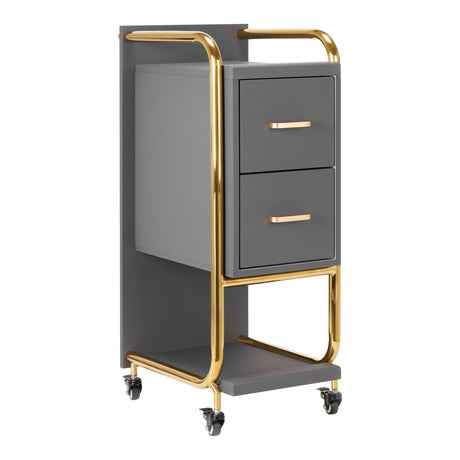 GABBIANO HAIRDRESSER TROLLEY SOLO GOLD GRAY - BVShop