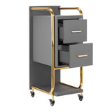 GABBIANO HAIRDRESSER TROLLEY SOLO GOLD GRAY - BVShop