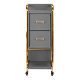 GABBIANO HAIRDRESSER TROLLEY SOLO GOLD GRAY - BVShop