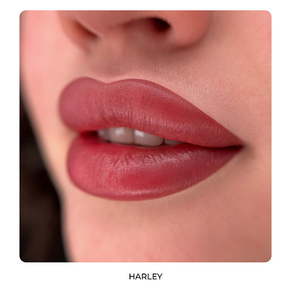 Lip Set HARLEY QUINN by AS Company & Alla Budaragina Hybrid 6pcs/6ml