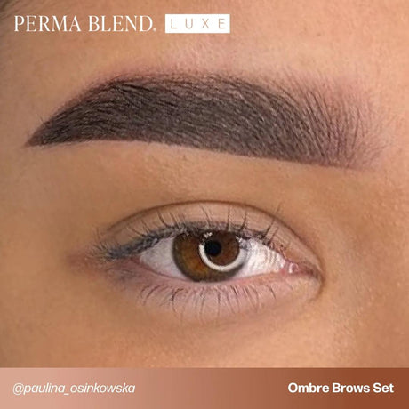 Perma Blend LUXE Osinkowska Ombre Brow Collection - BVShop