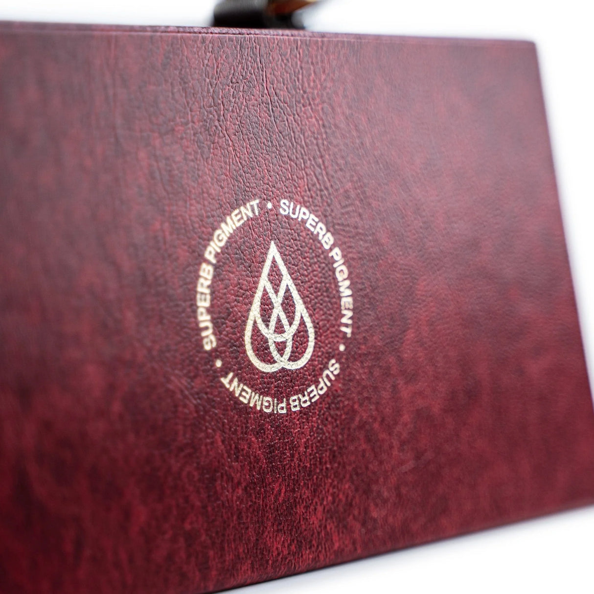 La colección de pigmentos para labios The Pigment PMU (8×15ml)