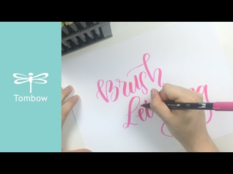 Tombow ABT Bolígrafo de Doble Pincel