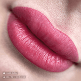 Swiss Color 701 Wild Rose Lip Pigment - BVShop