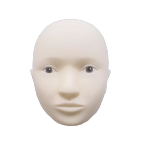 Swiss Color Doll Head Interchangeable Skin - BVShop