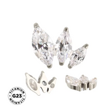 Anillo de titanio con marquesa arreglada